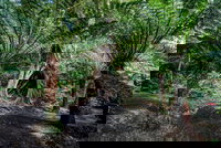 Adelaide to Melbourne 3-Day Trip through Grampians and Great Ocean Road