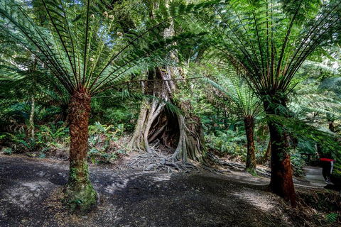 Adelaide To Melbourne 3-Day Trip Through Grampians And Great Ocean Road - Accommodation Bookings 0