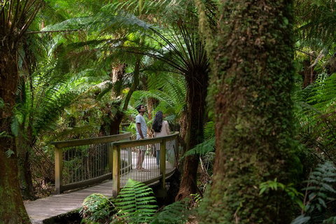 Great Ocean Road To Grampians 2 Day 1 Night Tour From Melbourne To Adelaide - Accommodation Bookings 0