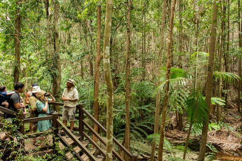 Fraser Explorer K'gari 2-Day Tour - Accommodation Bookings 5