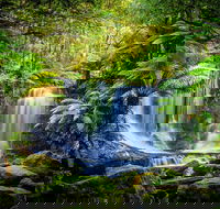 Day Tour in Mt. Field Mt. Wellington Bonorong Wildlife Sanctuary and Richmond - Accommodation Bookings