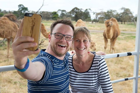 Off-Road Safari At Werribee Open Range Zoo - Accommodation Bookings 1