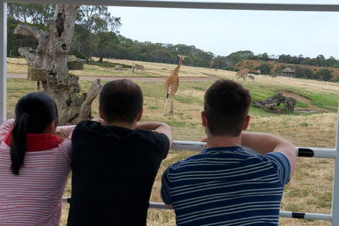 Off-Road Safari At Werribee Open Range Zoo - Accommodation Bookings 4