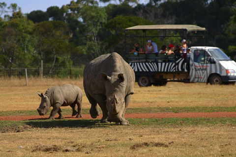 Off-Road Safari At Werribee Open Range Zoo - Accommodation Bookings 5