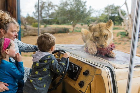 Werribee Open Range Zoo General Admission Ticket - Accommodation Bookings 4