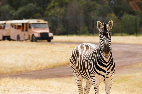Werribee Open Range Zoo General Admission Ticket - Accommodation Bookings 5