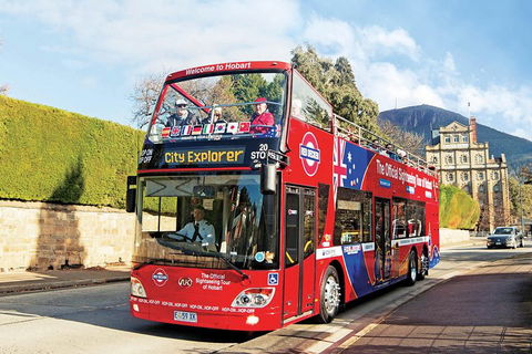 Hobart Hop-On Hop-Off Bus & Kunanyi/Mt Wellington Tour - Accommodation Bookings 4