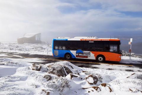 Hobart Hop-On Hop-Off Bus & Kunanyi/Mt Wellington Tour - Accommodation Bookings 5