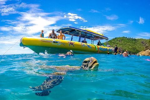 Great Barrier Reef Scenic Flight And Ocean Rafting Whitehaven Beach Day Trip - Accommodation Bookings 1