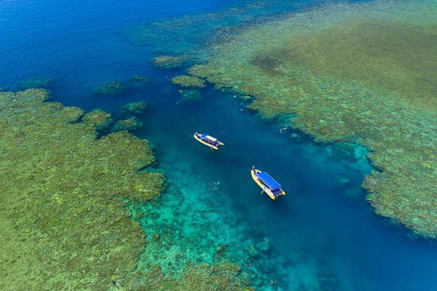 Great Barrier Reef Scenic Flight And Ocean Rafting Whitehaven Beach Day Trip - Accommodation Bookings 4