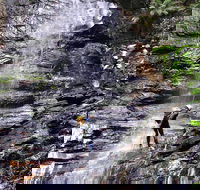 Full-Day Canyoning Experience at Stunning Empress Canyon - Accommodation Bookings