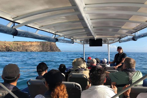 Julian Rocks Byron Bay Cruise - Accommodation Bookings 4