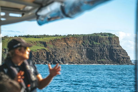 Cruise With Dolphins In Byron Bay - Accommodation Bookings 4
