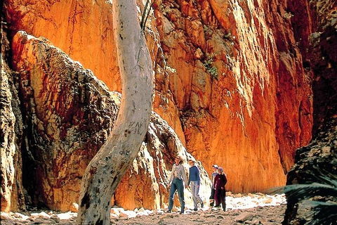 West MacDonnell Ranges Day Trip From Alice Springs - Accommodation Bookings 3