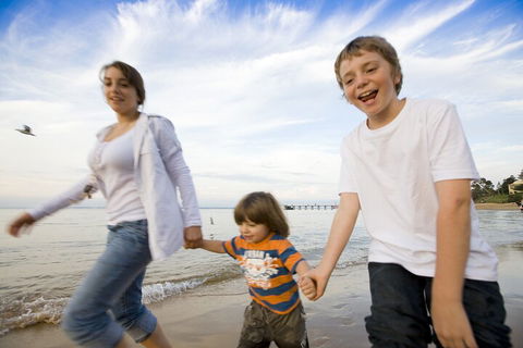 Phillip Island Penguin And Koala Highlights Day-Trip From Melbourne - Accommodation Bookings 0