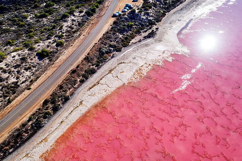 7-Day Exmouth Explorer Via Pinnacles Monkey Mia Ningaloo Reef Returning To Perth - Accommodation Bookings 0