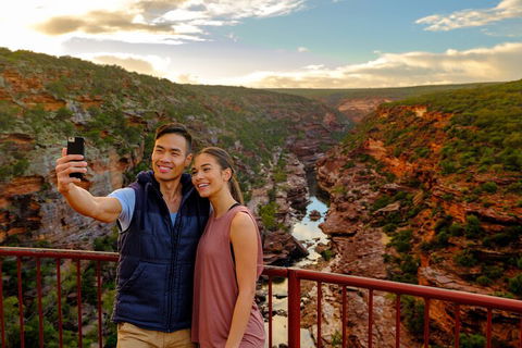 7-Day Exmouth Explorer Via Pinnacles Monkey Mia Ningaloo Reef Returning To Perth - Accommodation Bookings 5