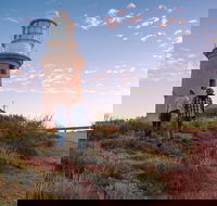 6-Day Coral Coaster from Perth to Exmouth One-Way via Monkey Mia Ningaloo Reef - Accommodation Bookings