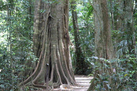 Noosa And Sunshine Coast Hinterland Day Trip From Brisbane - Accommodation Bookings 3