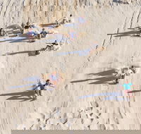 Unlimited Sandboarding - Accommodation Bookings