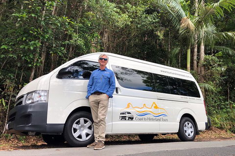 Sunshine Coast Hinterland Rainforest, Views And Montville Day Tour Inc. Lunch - Accommodation Bookings 1