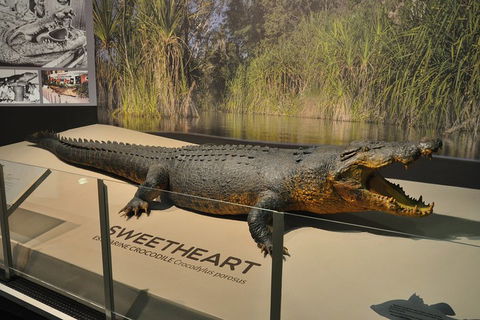 Explore Darwin City Sights Including Key Attractions - Accommodation Bookings 2