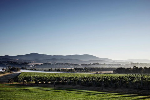 Chauffeur Driven Yarra Valley Group Wine Tour - Up To 7 - Accommodation Bookings 2