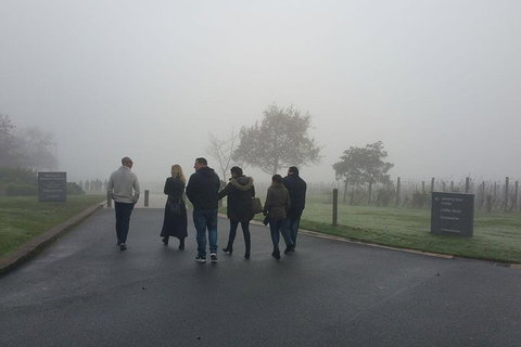 Chauffeur Driven Yarra Valley Group Wine Tour - Up To 7 - Accommodation Bookings 4