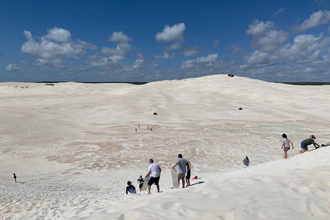 Pinnacles Day Trip From Perth Including Yanchep National Park - Accommodation Bookings 2