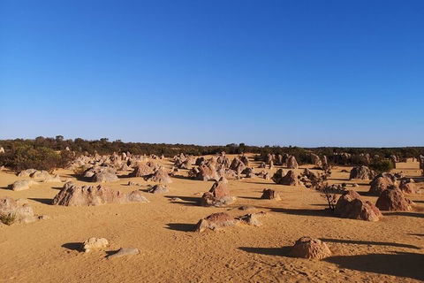 Pinnacles Day Trip From Perth Including Yanchep National Park - Accommodation Bookings 3