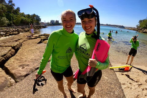 Manly Snorkel Trip And Nature Walk With Local Guide - Accommodation Bookings 1