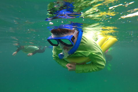 Manly Snorkel Trip And Nature Walk With Local Guide - Accommodation Bookings 5