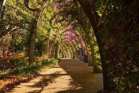 Brisbane Scavenger Hunt: Brisbane's South Bank! - Accommodation Bookings 3