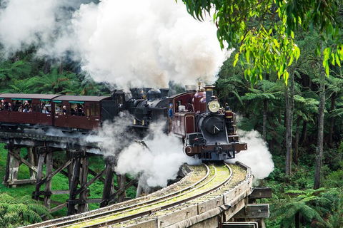 Puffing Billy And Healesville Sanctuary Scenic Tour - Accommodation Bookings 1