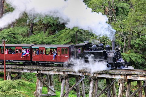 Puffing Billy And Healesville Sanctuary Scenic Tour - Accommodation Bookings 2
