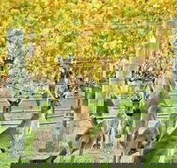 Margaret River Indulge and Discover Day Tour - Accommodation Bookings