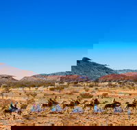 Alice Springs Camel Tour - Accommodation Bookings