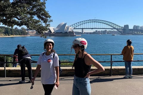 The Sydney Express - Accommodation Bookings 1