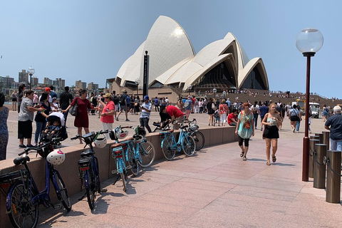 The Sydney Express - Accommodation Bookings 4