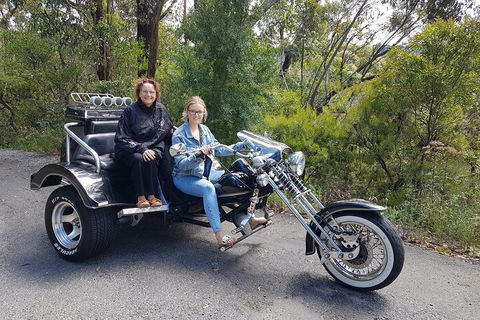 Blue Mountains 1-Hour Trike Tour Of Three Sisters - Accommodation Bookings 1