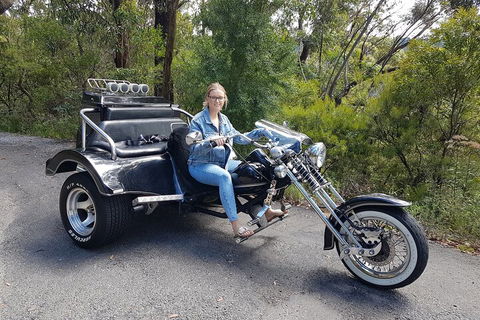 Blue Mountains 1-Hour Trike Tour Of Three Sisters - Accommodation Bookings 4