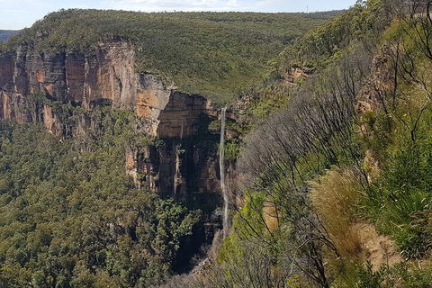 Blue Mountains 1-Hour Trike Tour Of Three Sisters - Accommodation Bookings 5