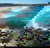 Private Sydney Foreshores and Beaches SUV Tour - Accommodation Bookings