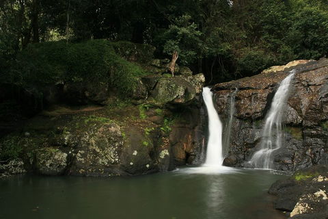 Hinterland Magic & Glow-worm Experience - Accommodation Bookings 2