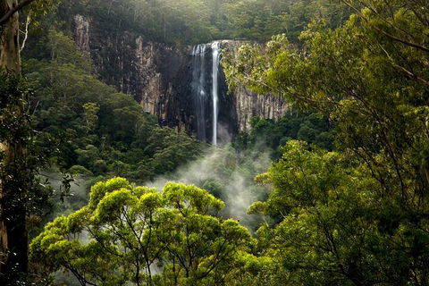 Hinterland Magic & Glow-worm Experience - Accommodation Bookings 4