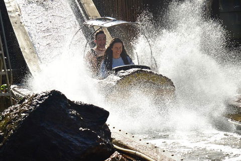 Theme Park Transfer From Brisbane - Accommodation Bookings 1