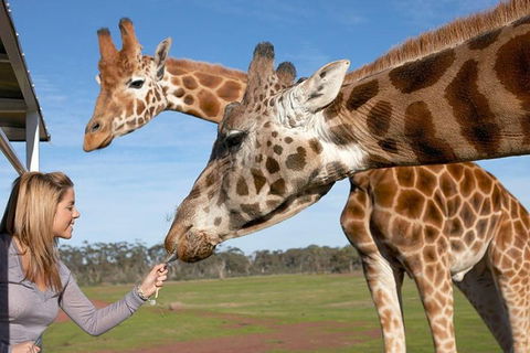 Melbourne City Card (2 Days): Visit Unlimited Attractions! - Accommodation Bookings 1