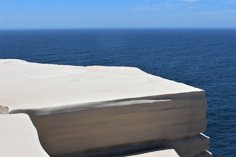 Royal National Park Tour - Accommodation Bookings 0