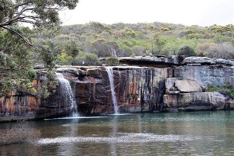 Royal National Park Tour - Accommodation Bookings 1