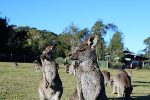 Royal National Park Tour - Accommodation Bookings 2